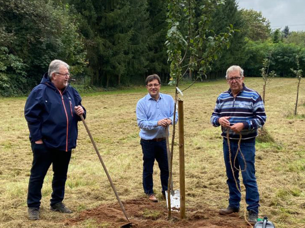 baum-dreieich-03quer